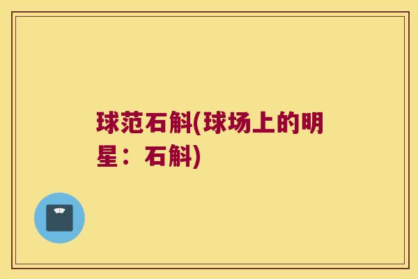 球范石斛(球场上的明星：石斛)