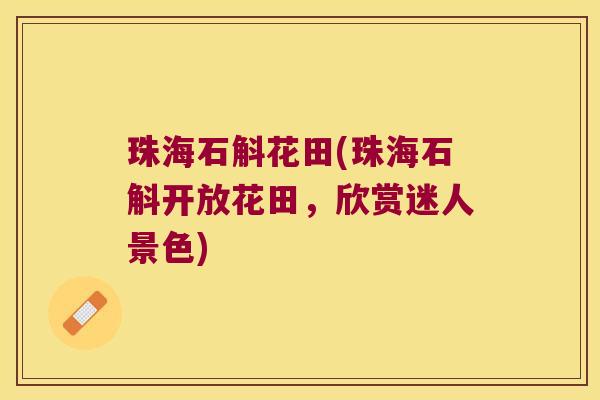 珠海石斛花田(珠海石斛开放花田，欣赏迷人景色)