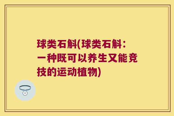 球类石斛(球类石斛：一种既可以养生又能竞技的运动植物)