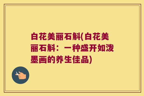 白花美丽石斛(白花美丽石斛：一种盛开如泼墨画的养生佳品)