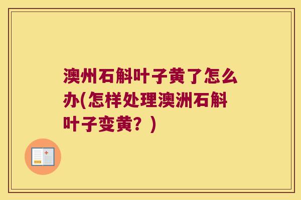 澳州石斛叶子黄了怎么办(怎样处理澳洲石斛叶子变黄？)