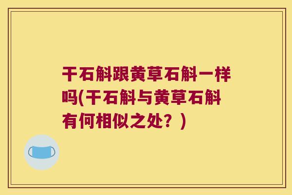 干石斛跟黄草石斛一样吗(干石斛与黄草石斛有何相似之处？)