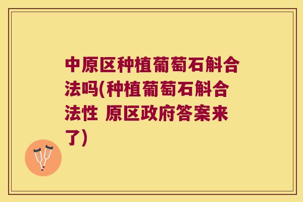 中原区种植葡萄石斛合法吗(种植葡萄石斛合法性 原区政府答案来了)