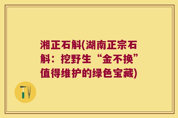 湘正石斛(湖南正宗石斛：挖野生“金不换”值得维护的绿色宝藏)