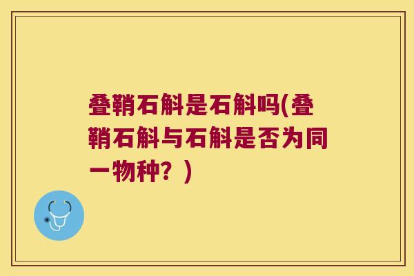 叠鞘石斛是石斛吗(叠鞘石斛与石斛是否为同一物种？)