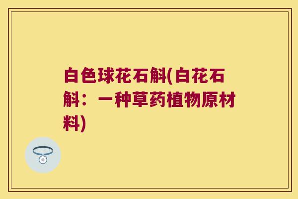 白色球花石斛(白花石斛：一种草药植物原材料)