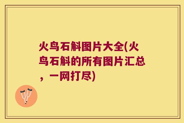 火鸟石斛图片大全(火鸟石斛的所有图片汇总，一网打尽)