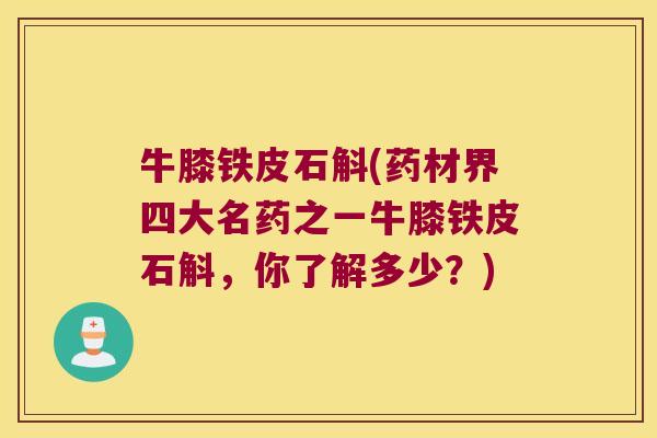 牛膝铁皮石斛(药材界四大名药之一牛膝铁皮石斛，你了解多少？)