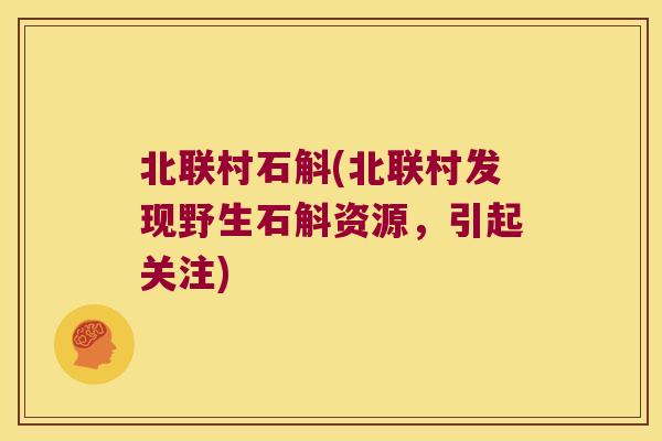 北联村石斛(北联村发现野生石斛资源，引起关注)
