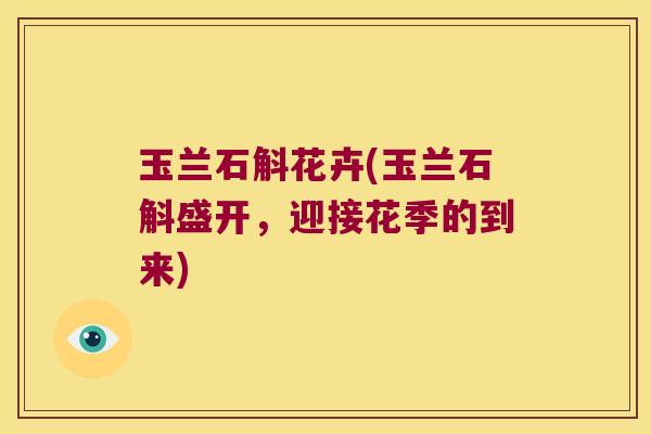 玉兰石斛花卉(玉兰石斛盛开，迎接花季的到来)