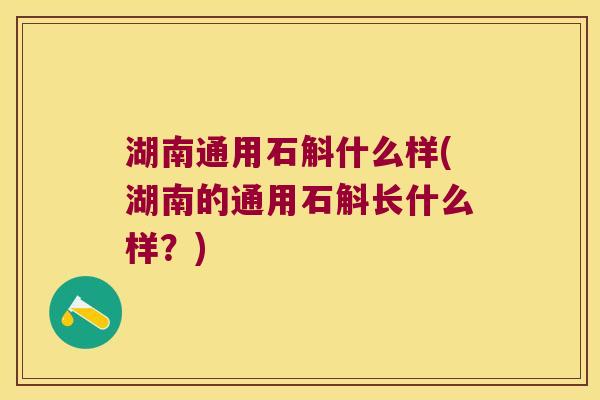 湖南通用石斛什么样(湖南的通用石斛长什么样？)