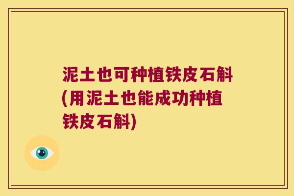 泥土也可种植铁皮石斛(用泥土也能成功种植铁皮石斛)