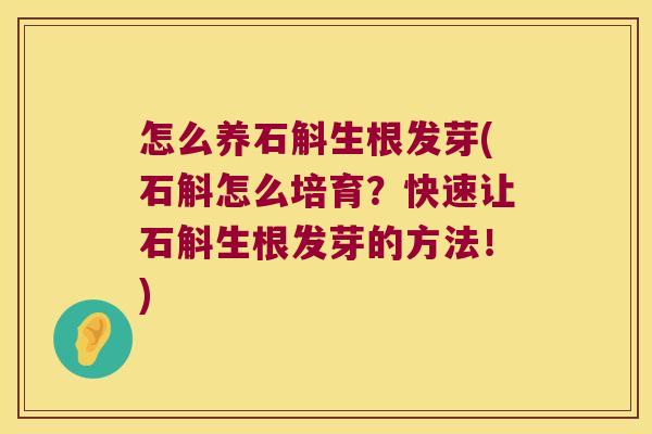 怎么养石斛生根发芽(石斛怎么培育？快速让石斛生根发芽的方法！)