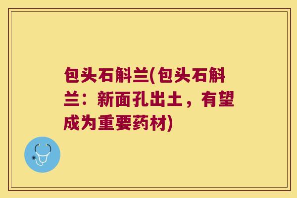 包头石斛兰(包头石斛兰：新面孔出土，有望成为重要药材)