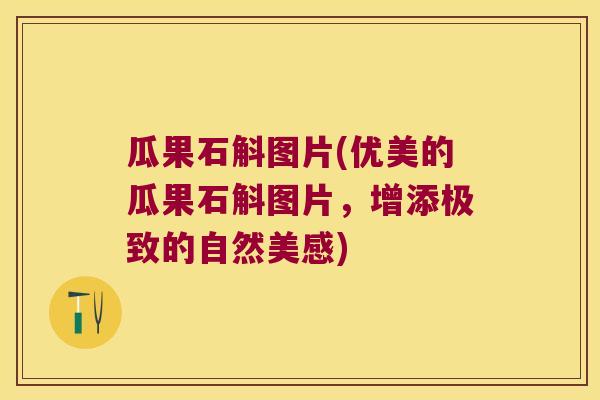 瓜果石斛图片(优美的瓜果石斛图片，增添极致的自然美感)