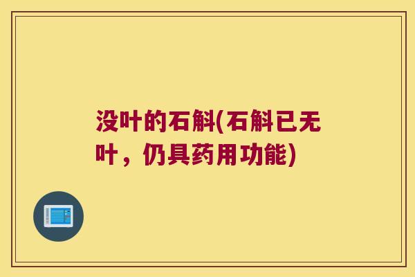 没叶的石斛(石斛已无叶，仍具药用功能)