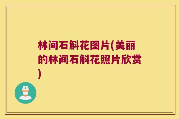 林间石斛花图片(美丽的林间石斛花照片欣赏)