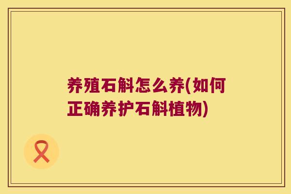 养殖石斛怎么养(如何正确养护石斛植物)