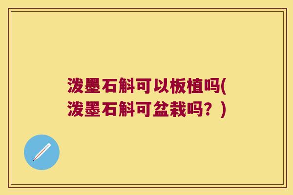 泼墨石斛可以板植吗(泼墨石斛可盆栽吗？)