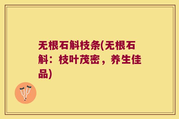 无根石斛枝条(无根石斛：枝叶茂密，养生佳品)