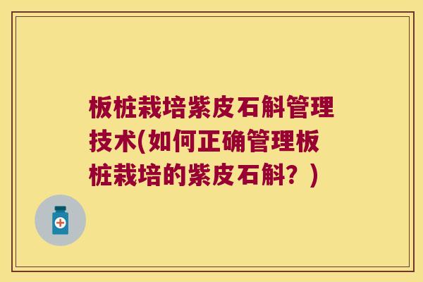 板桩栽培紫皮石斛管理技术(如何正确管理板桩栽培的紫皮石斛？)