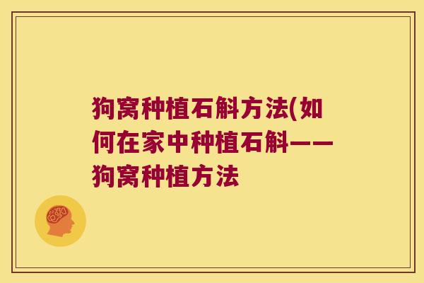 狗窝种植石斛方法(如何在家中种植石斛——狗窝种植方法