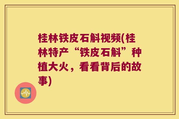 桂林铁皮石斛视频(桂林特产“铁皮石斛”种植大火，看看背后的故事)