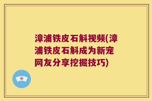 漳浦铁皮石斛视频(漳浦铁皮石斛成为新宠 网友分享挖掘技巧)