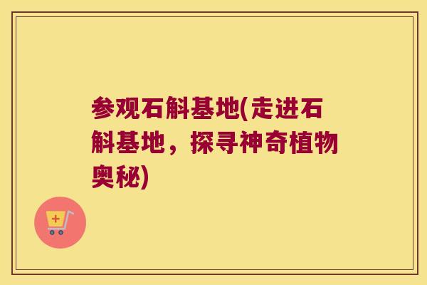 参观石斛基地(走进石斛基地，探寻神奇植物奥秘)