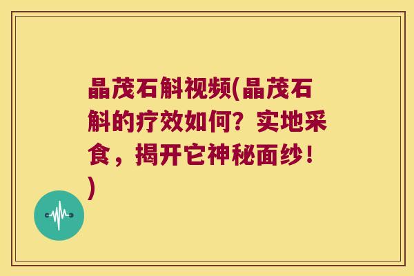 晶茂石斛视频(晶茂石斛的疗效如何?实地采食,揭开它神秘面纱!) 晶茂石斛视频(晶茂石斛的疗效如何?实地采食,揭开它神秘面纱!)