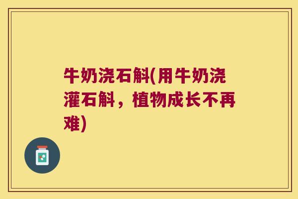 牛奶浇石斛(用牛奶浇灌石斛，植物成长不再难)