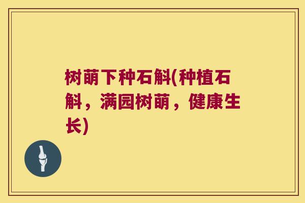 树萌下种石斛(种植石斛，满园树萌，健康生长)