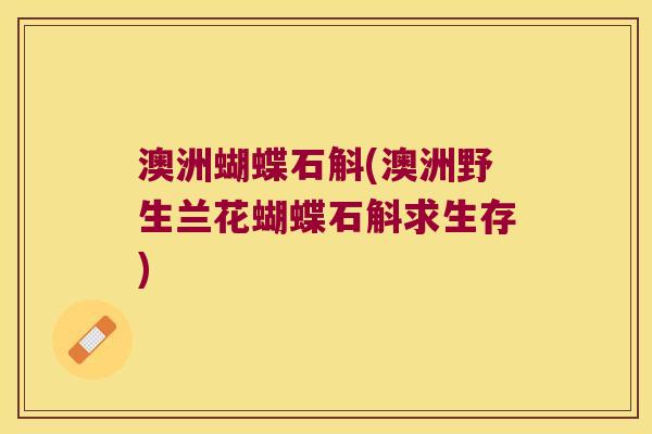 澳洲蝴蝶石斛(澳洲野生兰花蝴蝶石斛求生存)