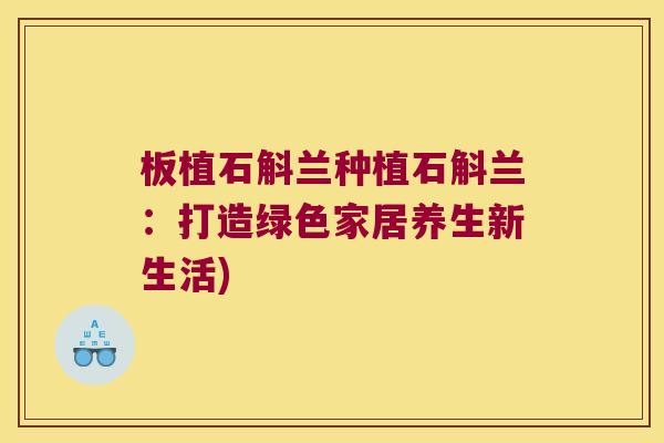 板植石斛兰种植石斛兰：打造绿色家居养生新生活)