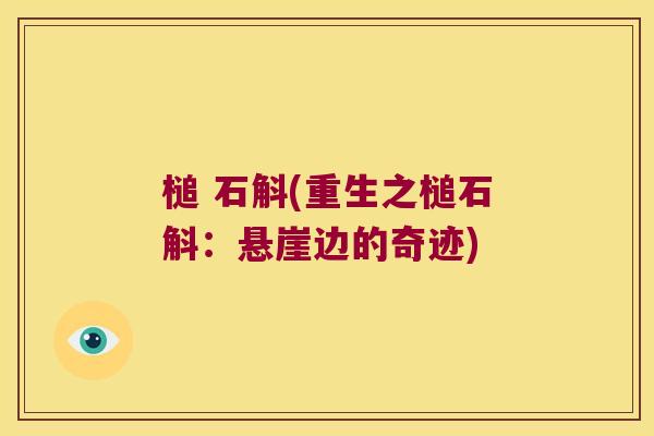 槌 石斛(重生之槌石斛:悬崖边的奇迹) 槌 石斛(重生之槌石斛:悬崖边的奇迹)