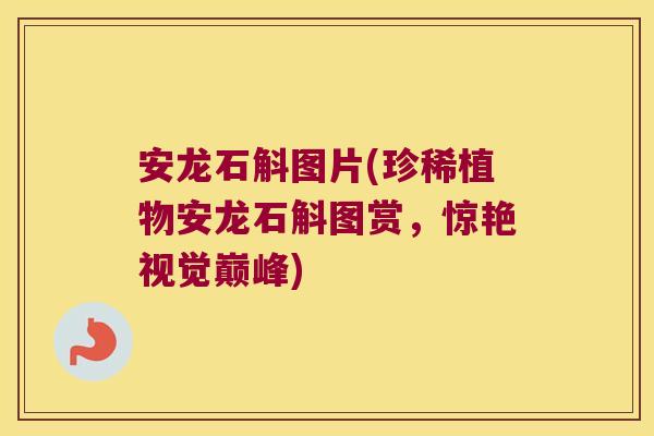 安龙石斛图片(珍稀植物安龙石斛图赏，惊艳视觉巅峰)