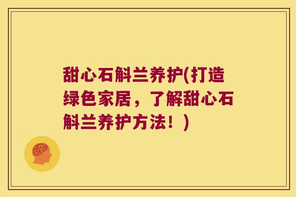 甜心石斛兰养护(打造绿色家居，了解甜心石斛兰养护方法！)