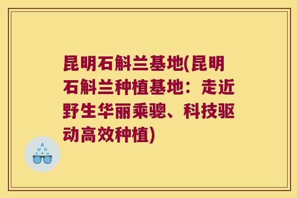 昆明石斛兰基地(昆明石斛兰种植基地:走近野生华丽乘骢、科技驱动高效种植) 昆明石斛兰基地(昆明石斛兰种植基地:走近野生华丽乘骢、科技驱动高效种植)