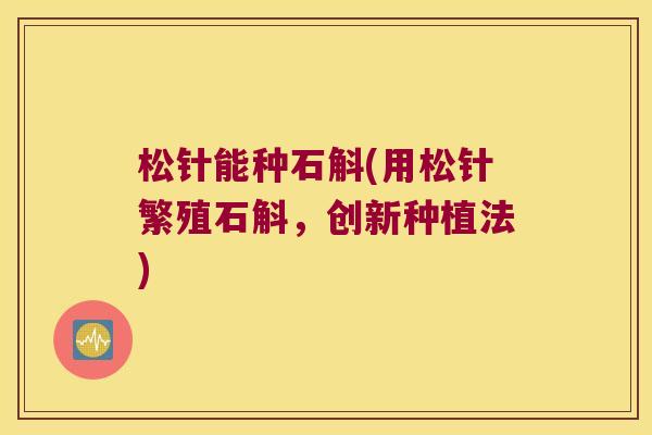 松针能种石斛(用松针繁殖石斛，创新种植法)
