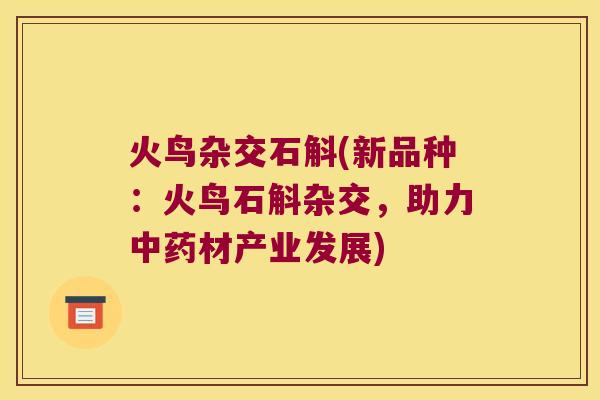 火鸟杂交石斛(新品种：火鸟石斛杂交，助力中药材产业发展)