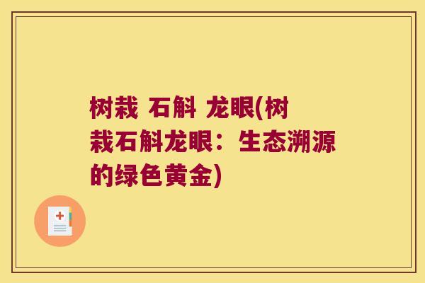 树栽 石斛 龙眼(树栽石斛龙眼：生态溯源的绿色黄金)