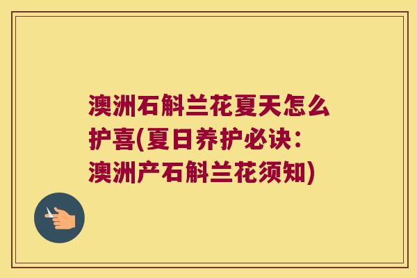 澳洲石斛兰花夏天怎么护喜(夏日养护必诀：澳洲产石斛兰花须知)