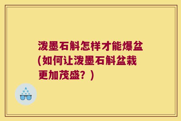 泼墨石斛怎样才能爆盆(如何让泼墨石斛盆栽更加茂盛？)
