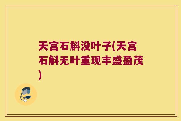 天宫石斛没叶子(天宫石斛无叶重现丰盛盈茂)