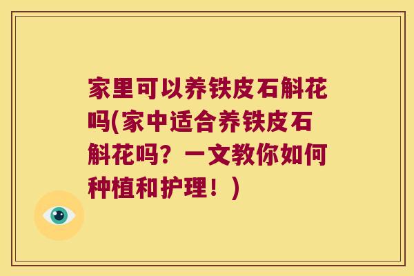 家里可以养铁皮石斛花吗(家中适合养铁皮石斛花吗？一文教你如何种植和护理！)