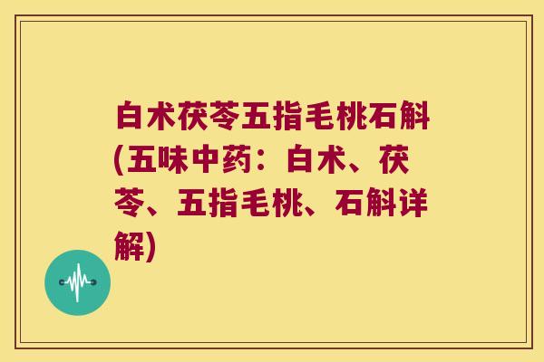 白术茯苓五指毛桃石斛(五味中药：白术、茯苓、五指毛桃、石斛详解)