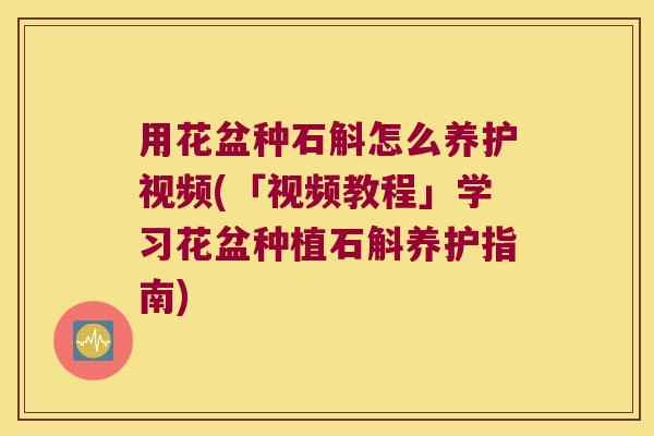 用花盆种石斛怎么养护视频(「视频教程」学习花盆种植石斛养护指南)
