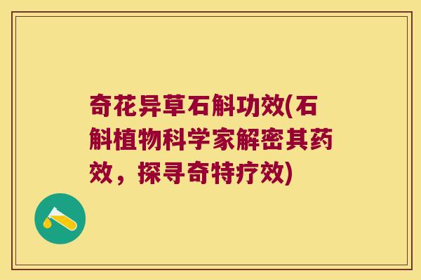 奇花异草石斛功效(石斛植物科学家解密其药效，探寻奇特疗效)