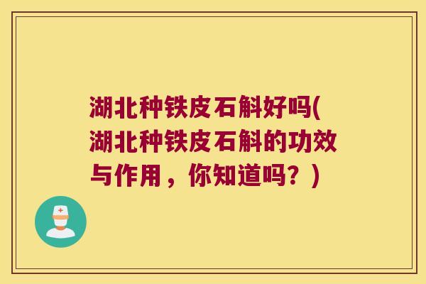 湖北种铁皮石斛好吗(湖北种铁皮石斛的功效与作用，你知道吗？)