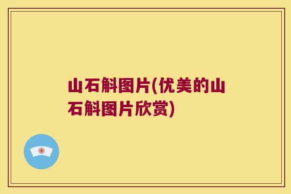 山石斛图片(优美的山石斛图片欣赏)